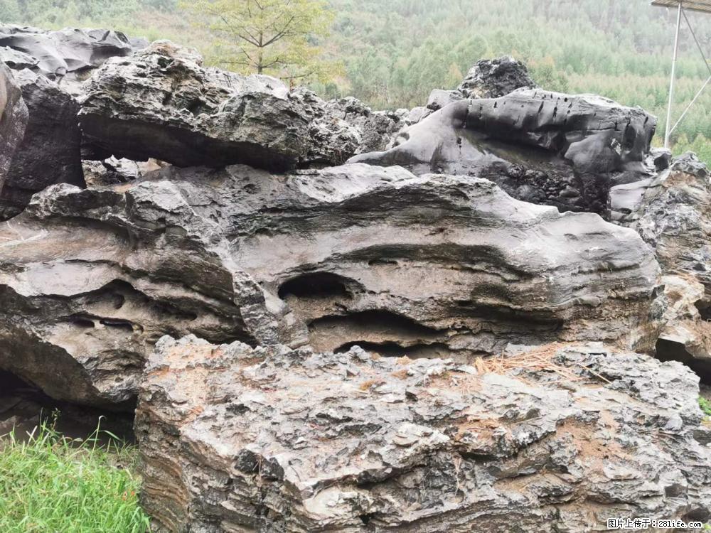 风景石、假山石大量有货，有需要的欢迎联系 - 新手上路 - 盐城生活社区 - 盐城28生活网 yancheng.28life.net