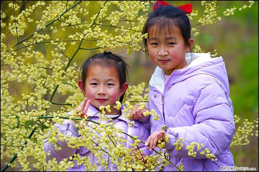 【春天,广西桂林灌阳县向您发出邀请!】米珠山前有片山苍子花在飘香 - 游山玩水 - 盐城生活社区 - 盐城28生活网 yancheng.28life.net