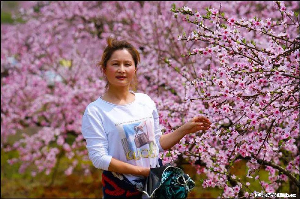 【春天，广西桂林灌阳县向您发出邀请！】官庄村有个醉美的桃花园 - 游山玩水 - 盐城生活社区 - 盐城28生活网 yancheng.28life.net
