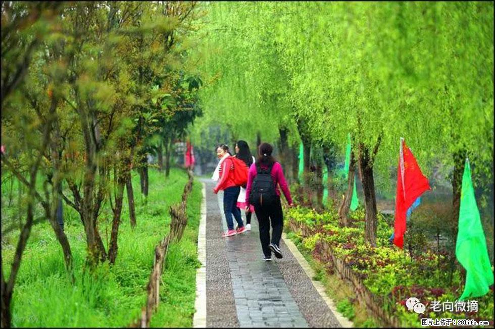 【春天，广西桂林灌阳县向您发出邀请！】江口老街又逢春 - 游山玩水 - 盐城生活社区 - 盐城28生活网 yancheng.28life.net