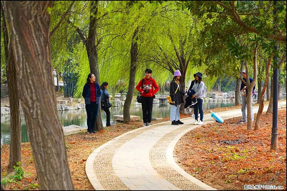 【春天，广西桂林灌阳县向您发出邀请！】江口老街又逢春 - 游山玩水 - 盐城生活社区 - 盐城28生活网 yancheng.28life.net