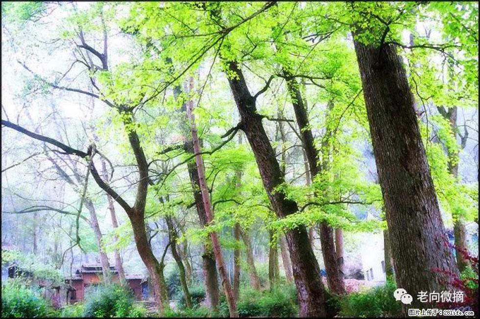 【春天，广西桂林灌阳县向您发出邀请！】在小龙村与春天约会 - 游山玩水 - 盐城生活社区 - 盐城28生活网 yancheng.28life.net