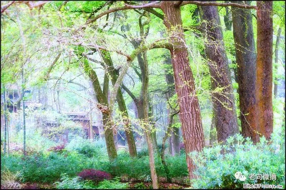 【春天，广西桂林灌阳县向您发出邀请！】在小龙村与春天约会 - 游山玩水 - 盐城生活社区 - 盐城28生活网 yancheng.28life.net