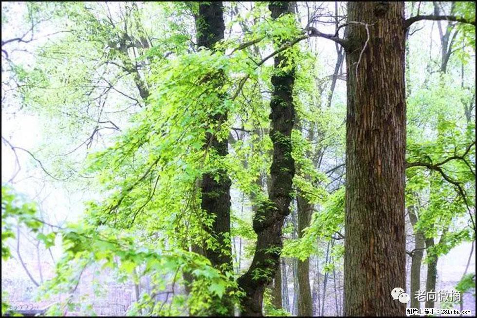 【春天，广西桂林灌阳县向您发出邀请！】在小龙村与春天约会 - 游山玩水 - 盐城生活社区 - 盐城28生活网 yancheng.28life.net