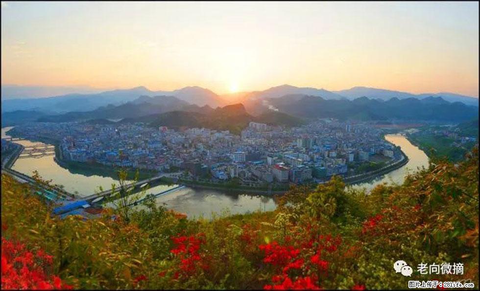 【春天，广西桂林灌阳县向您发出邀请！】登麒麟山，相约映山红 - 游山玩水 - 盐城生活社区 - 盐城28生活网 yancheng.28life.net