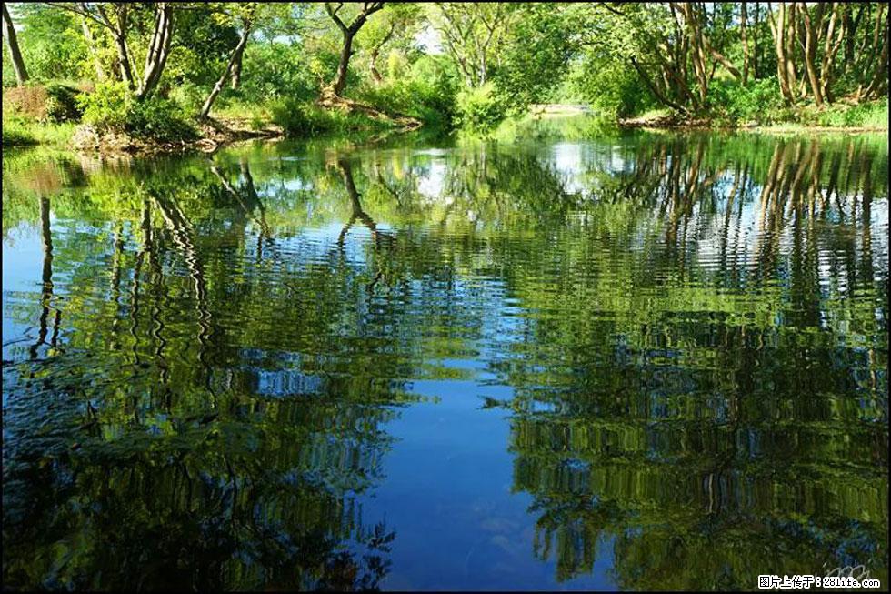 【春天，广西桂林灌阳县向您发出邀请！】熊家寨湿地公园 - 游山玩水 - 盐城生活社区 - 盐城28生活网 yancheng.28life.net