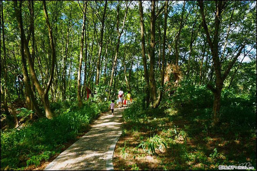 【春天，广西桂林灌阳县向您发出邀请！】熊家寨湿地公园 - 游山玩水 - 盐城生活社区 - 盐城28生活网 yancheng.28life.net