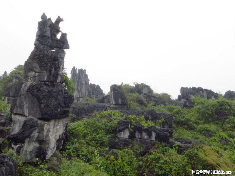 桂林旅游名城景点：灌阳文市石林 - 游山玩水 - 盐城生活社区 - 盐城28生活网 yancheng.28life.net