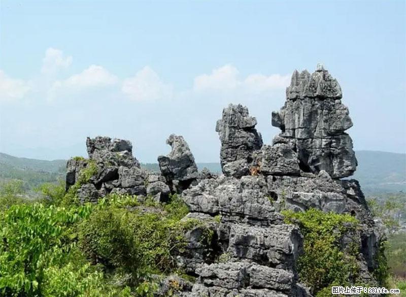 桂林旅游名城景点：灌阳文市石林 - 游山玩水 - 盐城生活社区 - 盐城28生活网 yancheng.28life.net
