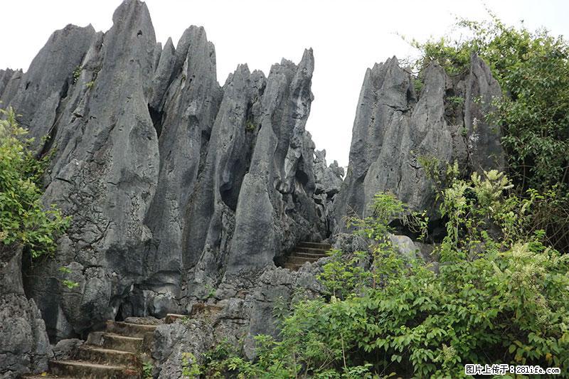 桂林旅游名城景点：灌阳文市石林 - 游山玩水 - 盐城生活社区 - 盐城28生活网 yancheng.28life.net