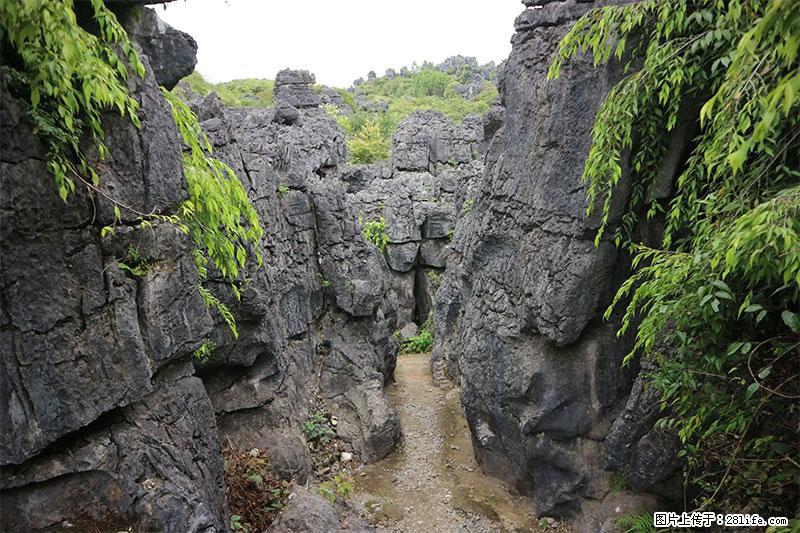 桂林旅游名城景点：灌阳文市石林 - 游山玩水 - 盐城生活社区 - 盐城28生活网 yancheng.28life.net
