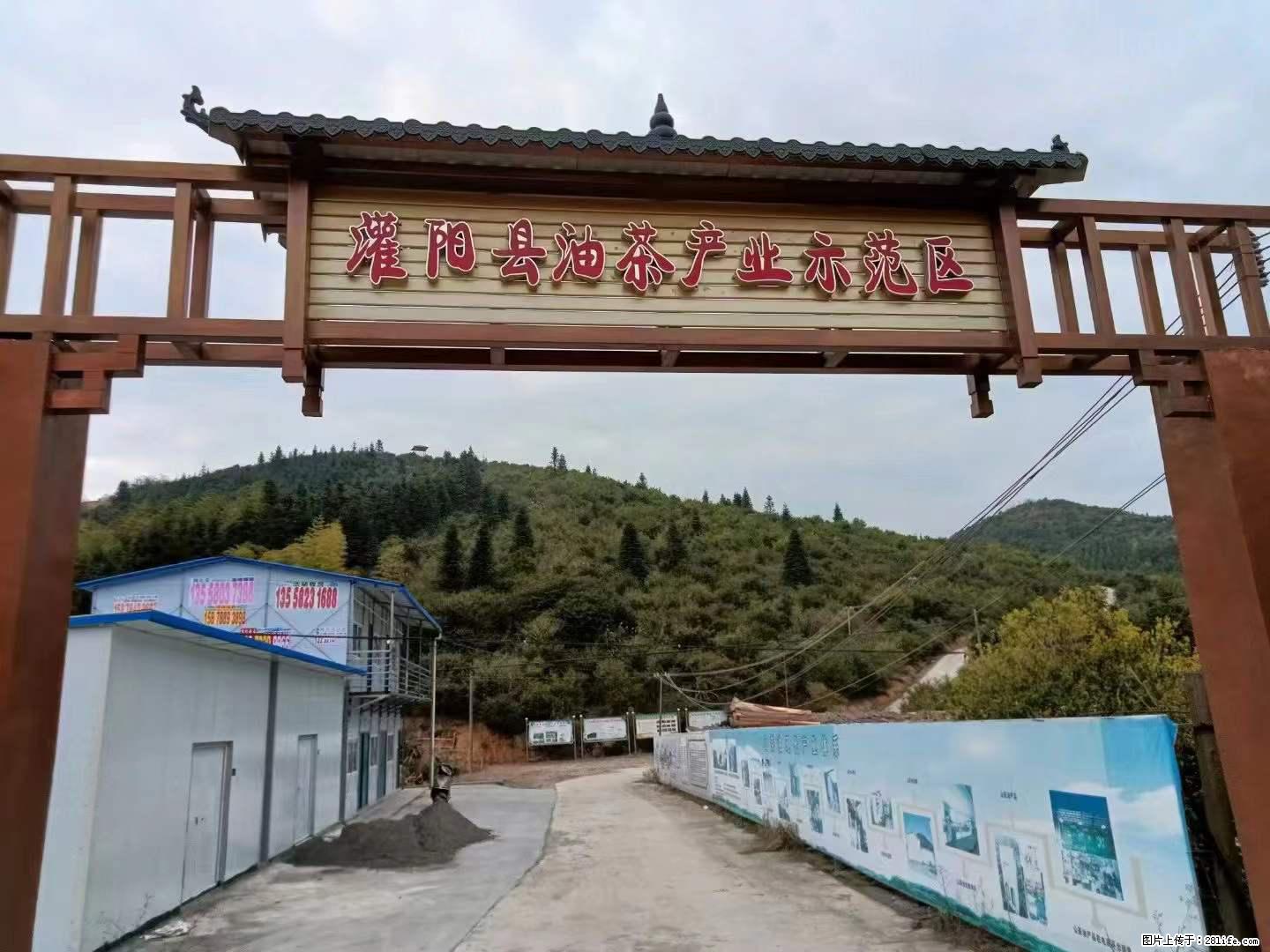 【灌阳县油茶产业示范区】一个有着充实的精神生活的人，对待身外之物自会有一种淡泊的态度 - 土特产 - 饮食特产 - 盐城分类信息 - 盐城28生活网 yancheng.28life.net
