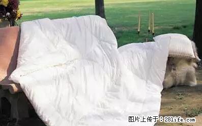 被子有异味?只要这样做,比晒太阳还强100倍! - 家居生活 - 盐城生活社区 - 盐城28生活网 yancheng.28life.net