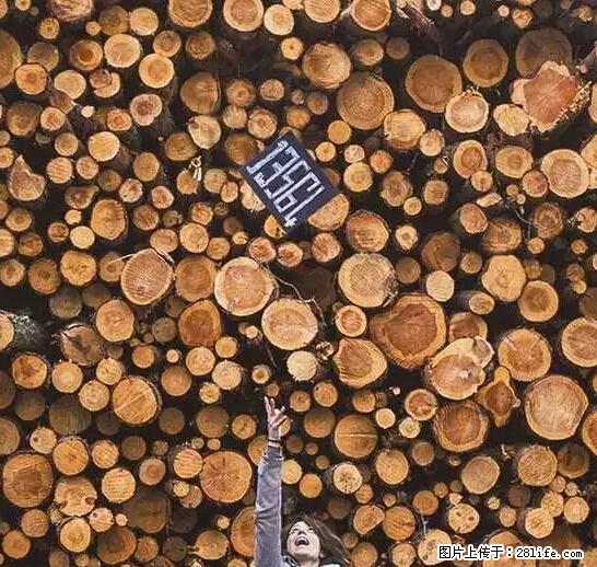 辞掉工作周游世界？现在他们在洗厕所…… - 游山玩水 - 盐城生活社区 - 盐城28生活网 yancheng.28life.net