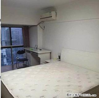 市政府旁中远世纪城朝南复式挑高两室2万一年 - 盐城28生活网 yancheng.28life.net