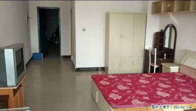 金鹰 夜市 电梯房 清爽1室1厅1卫 可短租，长租价格可议 - 房屋出租 - 房屋租售 - 盐城分类信息 - 盐城28生活网 yancheng.28life.net
