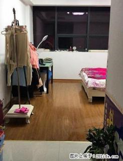 鑫鼎 单身公寓 1室1100元月 精装 拎包入住 真实 - 盐城28生活网 yancheng.28life.net