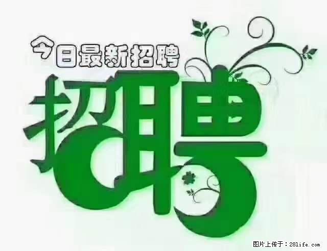 【招聘摄像师】待遇：试用期6000元/月，转正7000元/月+五险一金+餐补+节日福利+奖金 - 其他招聘信息 - 招聘求职 - 盐城分类信息 - 盐城28生活网 yancheng.28life.net
