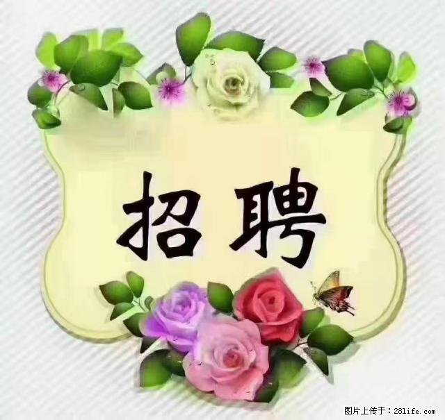 【招聘】住家育儿嫂，上户日期：4月4日，工作地址：上海 黄浦区 - 职场交流 - 盐城生活社区 - 盐城28生活网 yancheng.28life.net
