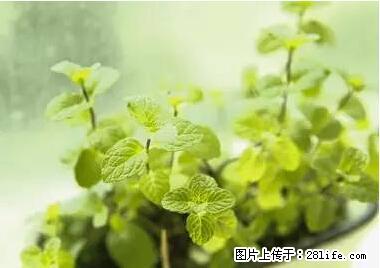 晕车、脚气、牙齿变黄、皮肤粗糙？学会这些三分钟搞定！ - 盐城生活资讯 - 盐城28生活网 yancheng.28life.net