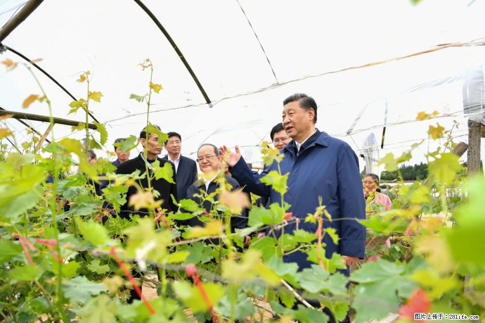 习近平赴广西考察调研 - 盐城生活资讯 - 盐城28生活网 yancheng.28life.net
