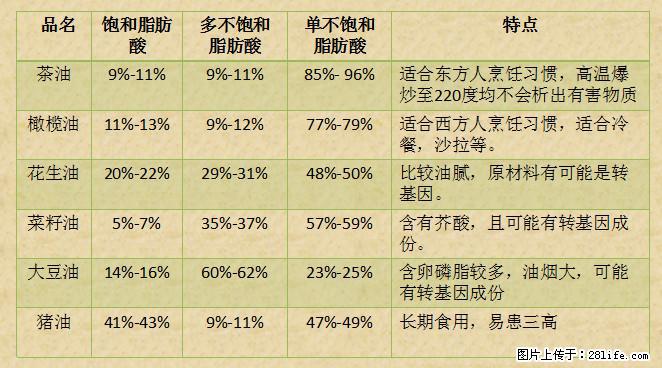 揭秘茶油的5大核心营养成分！被称为人体健康的“守护盾”！ - 盐城生活资讯 - 盐城28生活网 yancheng.28life.net