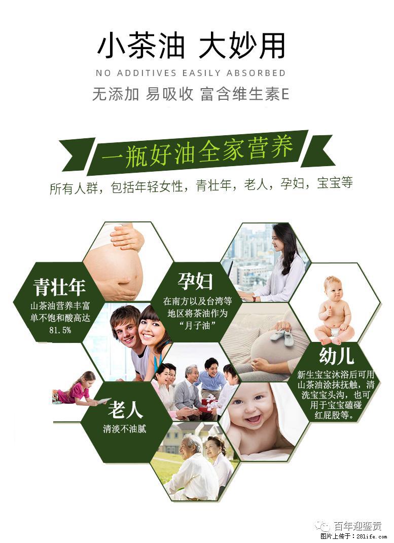 世界没有真相，只有认知，最好的食用油是中国的山茶油！ - 盐城生活资讯 - 盐城28生活网 yancheng.28life.net