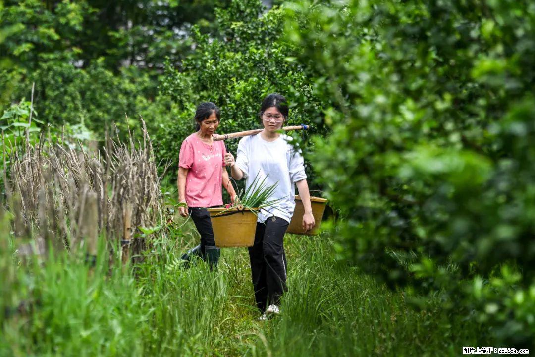 全网追的“扁担女孩”，找了一份暑假工，时薪12元 - 盐城生活资讯 - 盐城28生活网 yancheng.28life.net