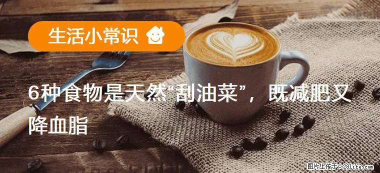 【生活小常识】6种食物是天然“刮油菜”，既减肥又降血脂 - 盐城生活资讯 - 盐城28生活网 yancheng.28life.net