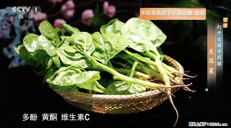 比牛奶补钙还厉害！凉血解毒、稳血糖...这菜冬天必吃，很多人却当草 - 盐城生活资讯 - 盐城28生活网 yancheng.28life.net