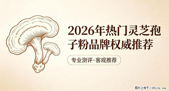灵芝孢子粉含量越高越有效？2026 年七款热门品牌深度实测，肠胃敏感者避坑指南 - 盐城生活资讯 - 盐城28生活网 yancheng.28life.net